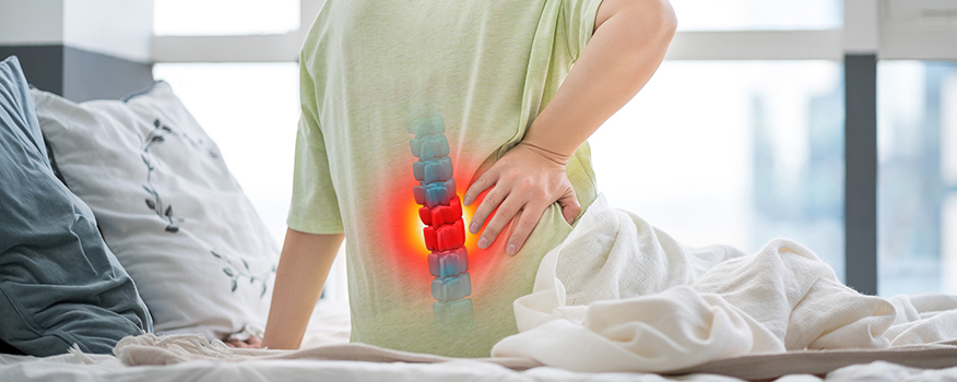 Spine model showing degenerated disc condition